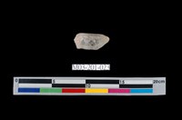 藏品(水晶)的圖片